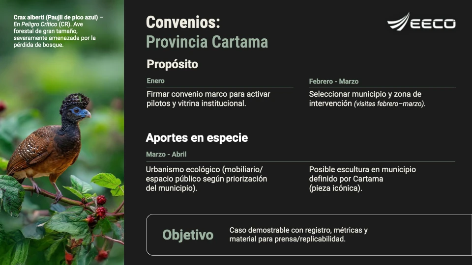 Convenio Provincia Cartama sobre fondo carbón: propósito, aportes en especie y caja de objetivo, con foto lateral de un paujil de pico azul