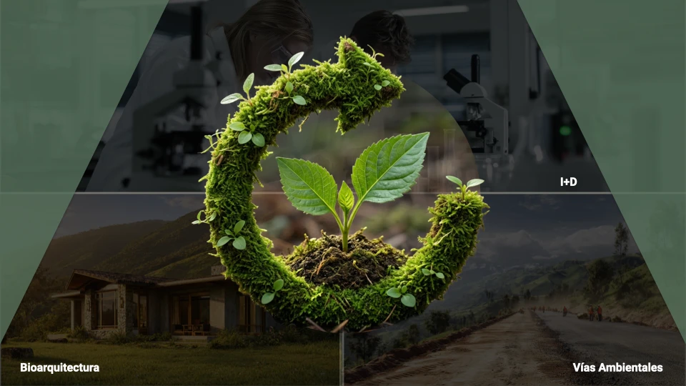 Líneas de negocio a sangre: I+D, bioarquitectura y vías ambientales alrededor de la flecha circular de musgo