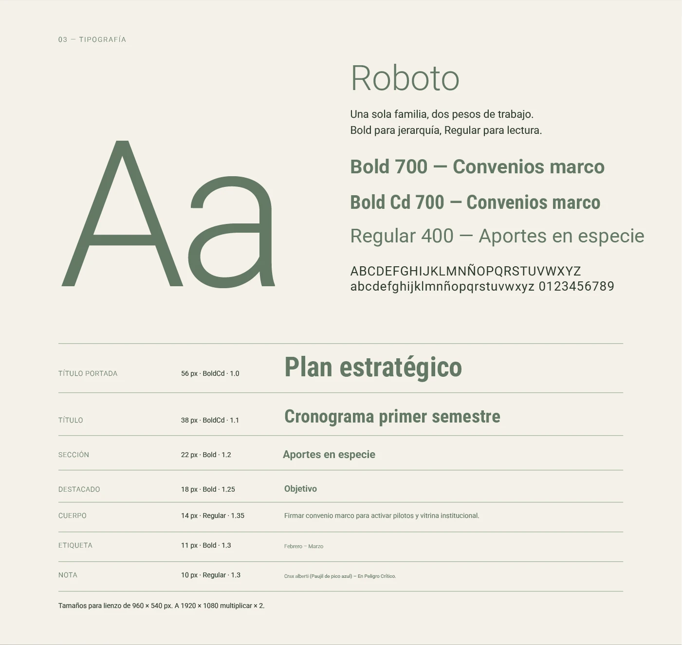 Tipografía: Roboto en Bold, Bold Condensada y Regular, con la escala de título de portada, título, sección, destacado, cuerpo, etiqueta y nota