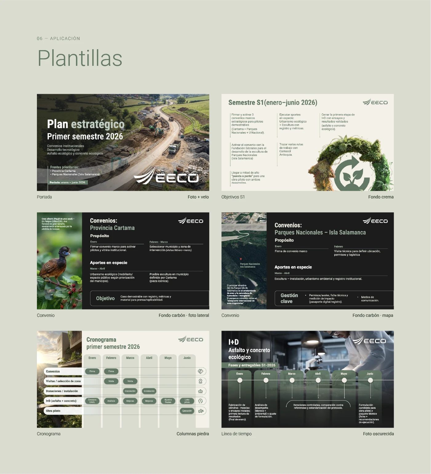 Plantillas aplicadas: portada, objetivos, convenios, cronograma y línea de tiempo, con el fondo de cada una